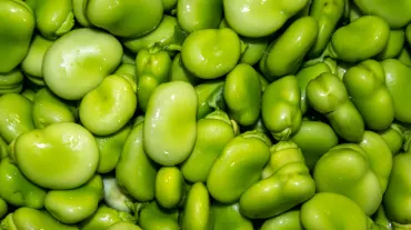 Broad Beans